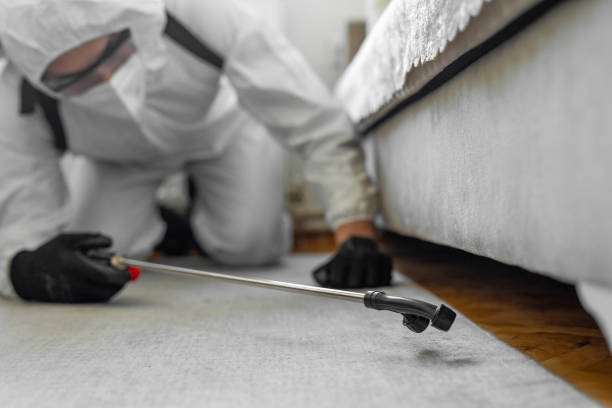 Professional Termite Control technician working in Nowthen, MN