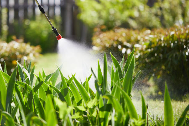 24/7 Emergency Termite Control experts in Nowthen, MN