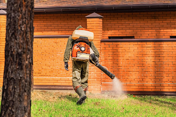 Top rated local Termite Control specialists in Nowthen, MN